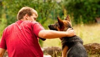Homem de camiseta vermelha ao lado de um cachorro da raça pastor alemão