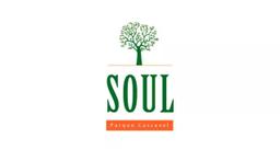 Logo do empreendimento Soul Parque Cascavel.