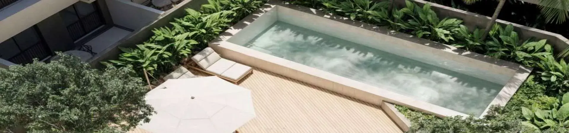 Next Trindade, da Schneider Martins