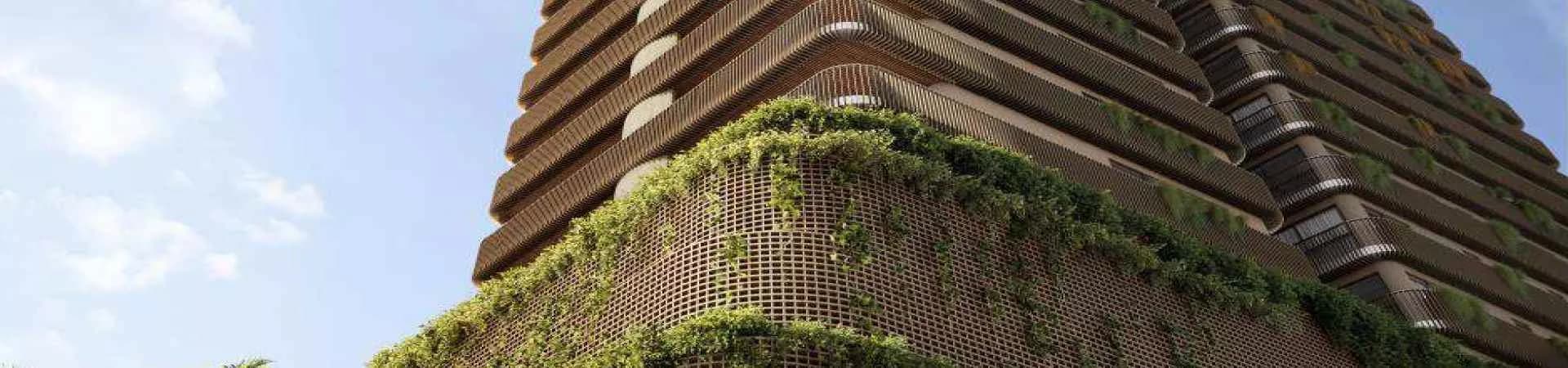 Orgânica by Sunprime, da Sunprime