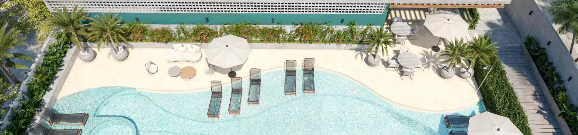 Gaivotas 4, da Viva 4