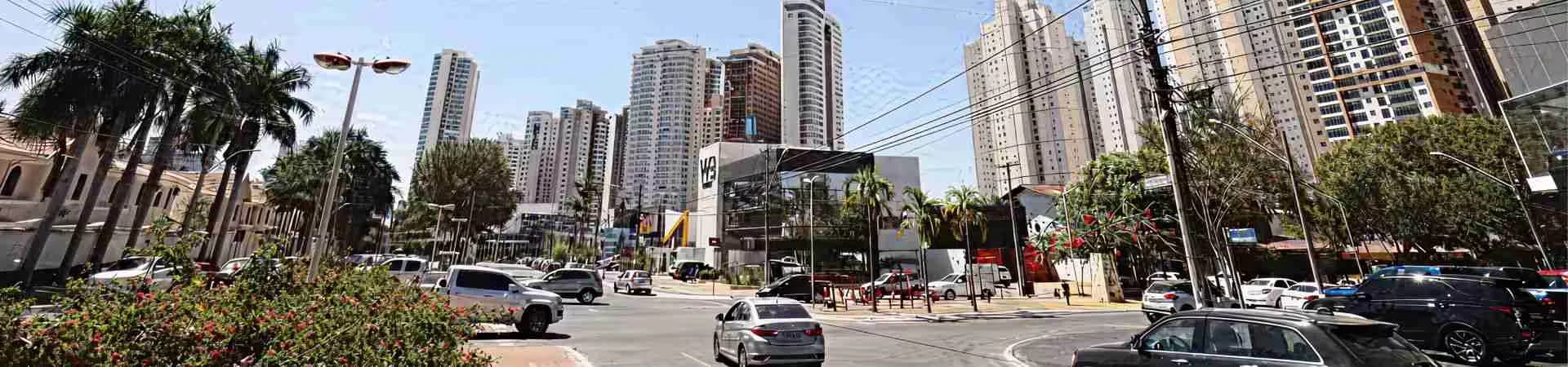 Hype Ricardo Paranhos, da Terral